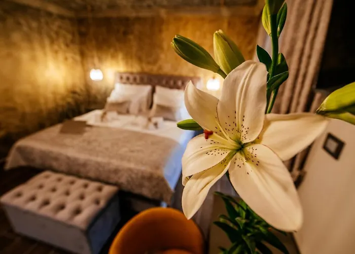 Luxury Vindemiae Appartement *