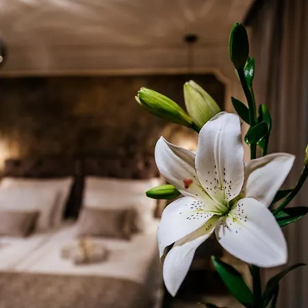 Apartman Luxury Vindemiae Zára