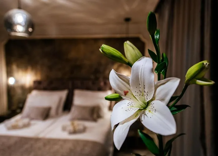 Apartman Luxury Vindemiae Zára